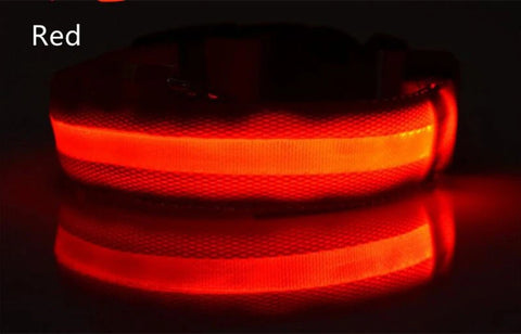 Dog Collar LED Light Electronic Night Safety Anti-Lost Nylon Adjustable Luminous Glowing Collar For Dogs Cats Pet Products Xs-XL