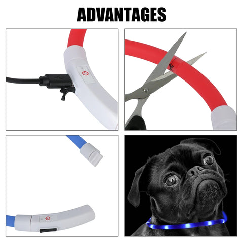 Led Usb Dog Collar Night Luminous Charge Necklace Dog Loss Prevention Night Safety Flashing Glow Collar Pet Accessories