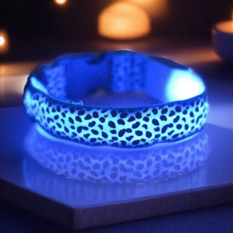 Adjustable Luminous LED Dog Collar Bright Nylon Collar Night Safety Pet Accessory for Dogs