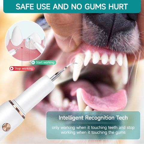 Cat Dog Dental Cleaner For Teeth Tartar Remover Waterproof IPX6 Five Modes Dental Teeth Scaler For Pet Dental Cleaning Equipment