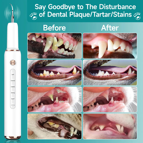 Cat Dog Dental Cleaner For Teeth Tartar Remover Waterproof IPX6 Five Modes Dental Teeth Scaler For Pet Dental Cleaning Equipment