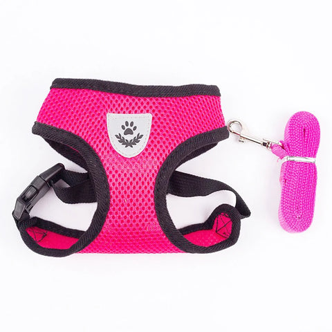 Adjustable Mesh Cute Small Cat Leash Breathable Summer Vest Cat Harness Leash Set Reflective for Small Dog Harness Leash