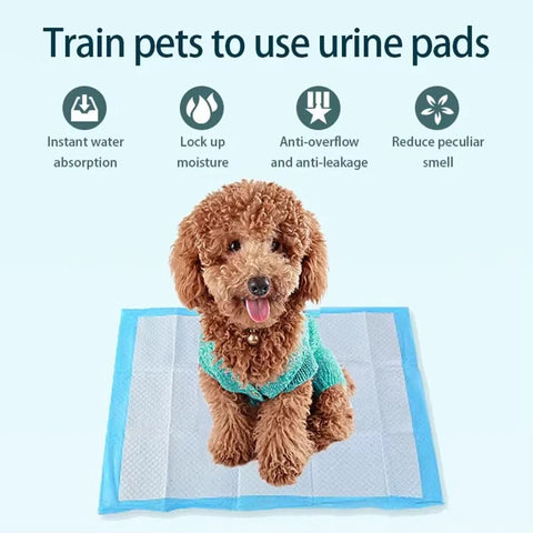 Thickened Deodorant Dog Urine Pads High Absorption Disposable Pet Diaper Mats Leak Resistant Training Pads For Dog Cat Rabbit