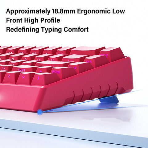 4000mA Mechanical Gaming Keyboard Wired Wireless 60% Rapid Trigger Gaming Keyboard w/RGB Backlit 3 Mode Hall Effect Side Printed