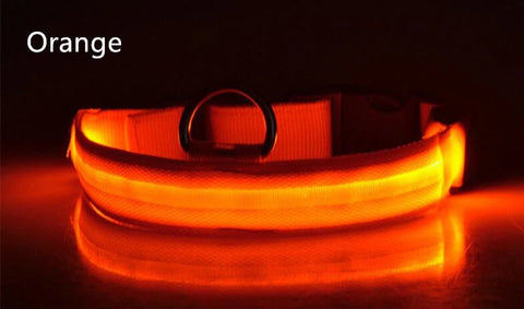 Dog Collar LED Light Electronic Night Safety Anti-Lost Nylon Adjustable Luminous Glowing Collar For Dogs Cats Pet Products Xs-XL