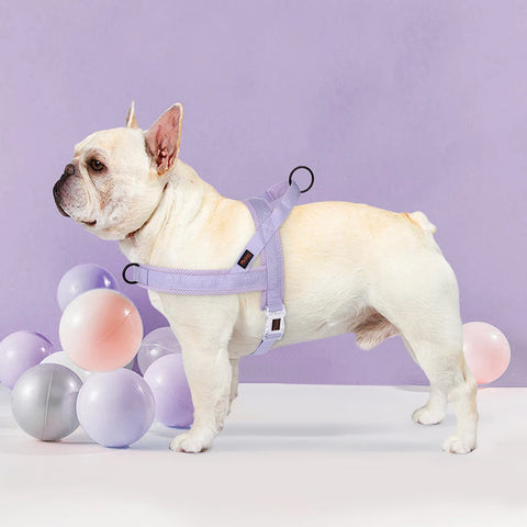 Soft No Pull Dog Harness Nylon Pitbull Dog Puppy Harnesses Padded Pet Vest Adjustable for Small Medium Large Dog Chihuahua Pug