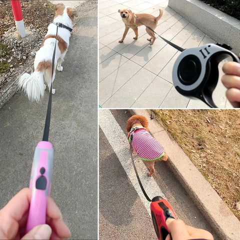 3m 5m Retractable Pet Dog Leash for Small Dogs Cats Roulette Long Strong Automatic Nylon Cat Leash Rope Puppy Extendable Strap