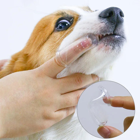 10pcs Super Soft Pet Finger Toothbrush Teddy Dog Brush Bad Breath Tartar Teeth Care Tool Dog Cat Cleaning Silicagel Pet Supplies