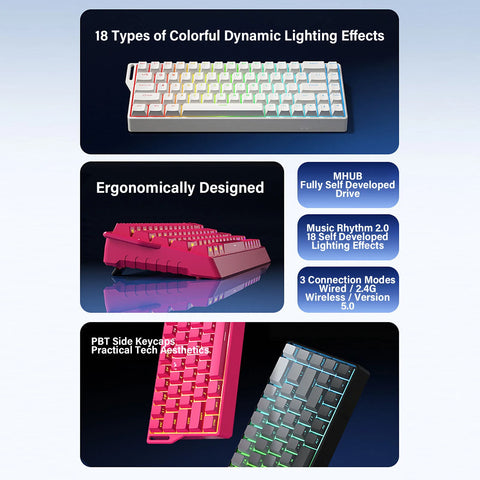 4000mA Mechanical Gaming Keyboard Wired Wireless 60% Rapid Trigger Gaming Keyboard w/RGB Backlit 3 Mode Hall Effect Side Printed