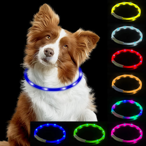 Led Usb Dog Collar Night Luminous Charge Necklace Dog Loss Prevention Night Safety Flashing Glow Collar Pet Accessories
