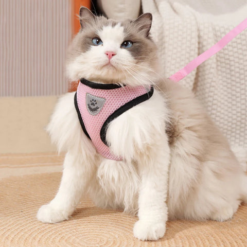 Adjustable Mesh Cute Small Cat Leash Breathable Summer Vest Cat Harness Leash Set Reflective for Small Dog Harness Leash