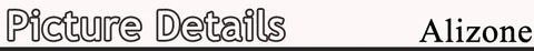 Charming White Pearl Necklace Bracelet Earring Jewelry Set Women Bridal Wedding Elegant Accessories